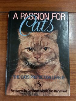 A PASSION FOR CATS
