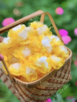 กระดาษสาห่อเหรียญ เซ็ทสีเหลือง