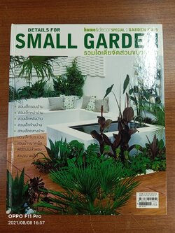 DETAILS FOR SMALL GARDEN รวมไอเดียจัดสวนขนาดเล็ก / จีเอ็ม มัลติมีเดีย จำกัด (มหาชน)