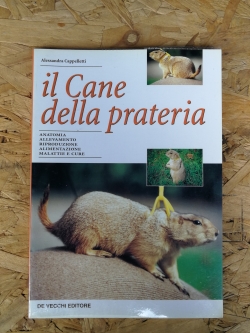 IL CANE DELLA PRATERIA
