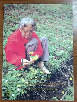 เฉลิมพระเกียรติสมเด็จพระศรีนครินทราบรมราชชนนี 100 ปี วันพระราชสมภพ