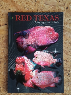 เท็กซัสแดง สุดยอดปลางามเงินล้าน