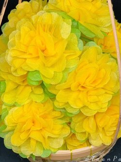 กระดาษห่อสาเหรียญ เซ็ทดาวเรือง