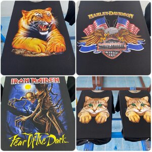 สอนสกรีนฮาฟโทน