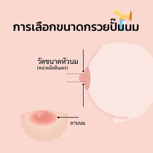 วิธีการวัดขนาดกรวยปั๊มนม