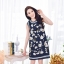 Floral embroidery Dress on Navy