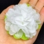 กระดาษห่อสาเหรียญ เซ็ทมะลิ