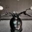 💥สายคลาสสิค ต้องโดรนแล้ว 📌 KAWASAKI W800 🏁STREET🏁 ปลายปี 2019 นางฟ้านางสวยใส 🏍️