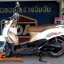 รถดี ราคาประหยัด YAMAHA FINO (โลโก้นูน-หัวเงา) กลางปี 53 มีสวิงอาร์ม เครื่องดีเดิมๆจัด หัวเครื่องใสแจ๋ว ขับขี่ดีนิ่ม ศูนย์ตรง