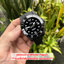 (ประกันศูนย์ไทย) TITONI SEASCOPER CARBON "White" รุ่น 83600 C-BK-256
