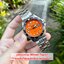 (ประกันศูนย์ไทย) Orient Automatic Ray II AA02006M (Discon)