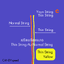 Yoyo String Pack-10 เชือกโยโย่ | By CANDYspeed