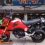 "แต่งนิดหน่อยโดนใจวัยรุ่น" HONDA MSX125 จดทะเบียนปี 56 แต่งสวยภายนอกเครื่องเดิม ขี่สนุก ชุดสีสวยแท้ทั้งคัน