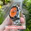 (ประกันศูนย์ไทย) Orient Automatic Ray II AA02006M (Discon)
