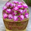 กระดาษสาห่อเหรียญ เซ็ทดอกไม้หวาน