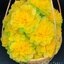 กระดาษห่อสาเหรียญ เซ็ทดาวเรือง